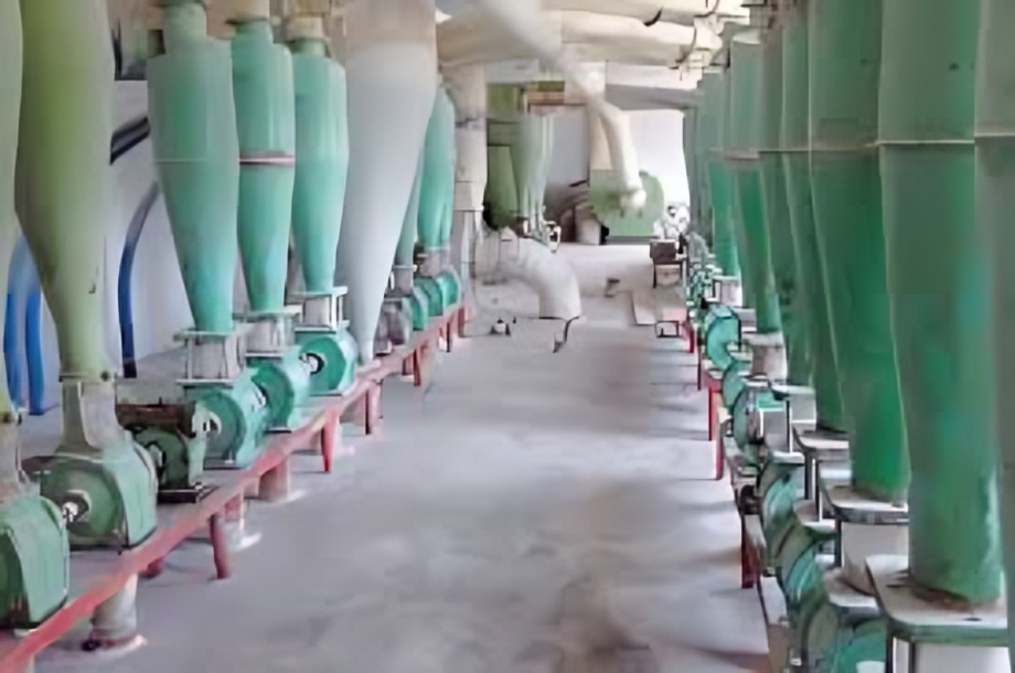 Flour mill valuation project