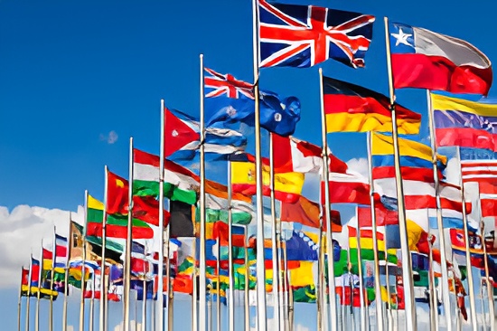 International embassy and visa flags